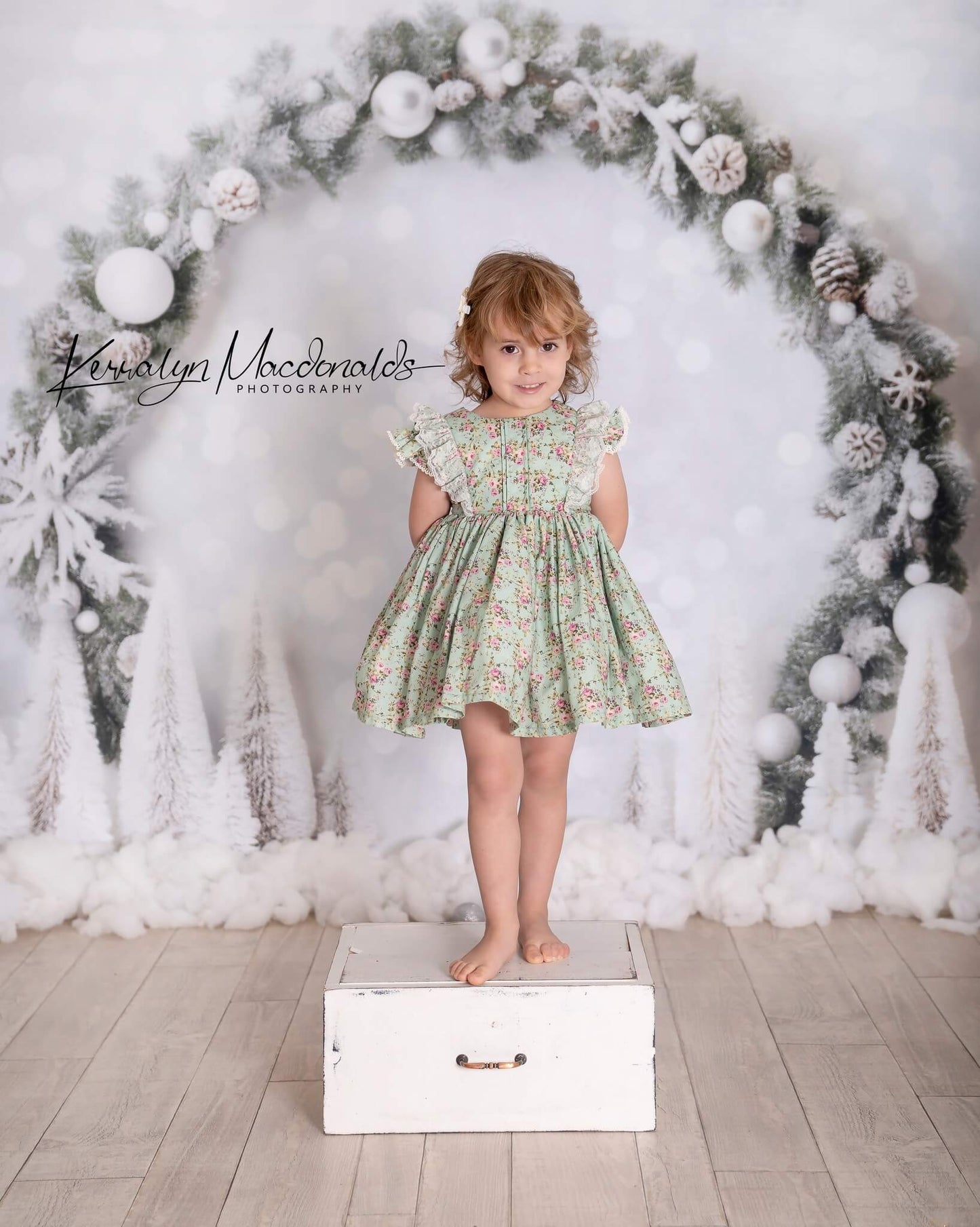 Kate 白 クリスマス ボケ味 誕生日 背景 写真撮影用