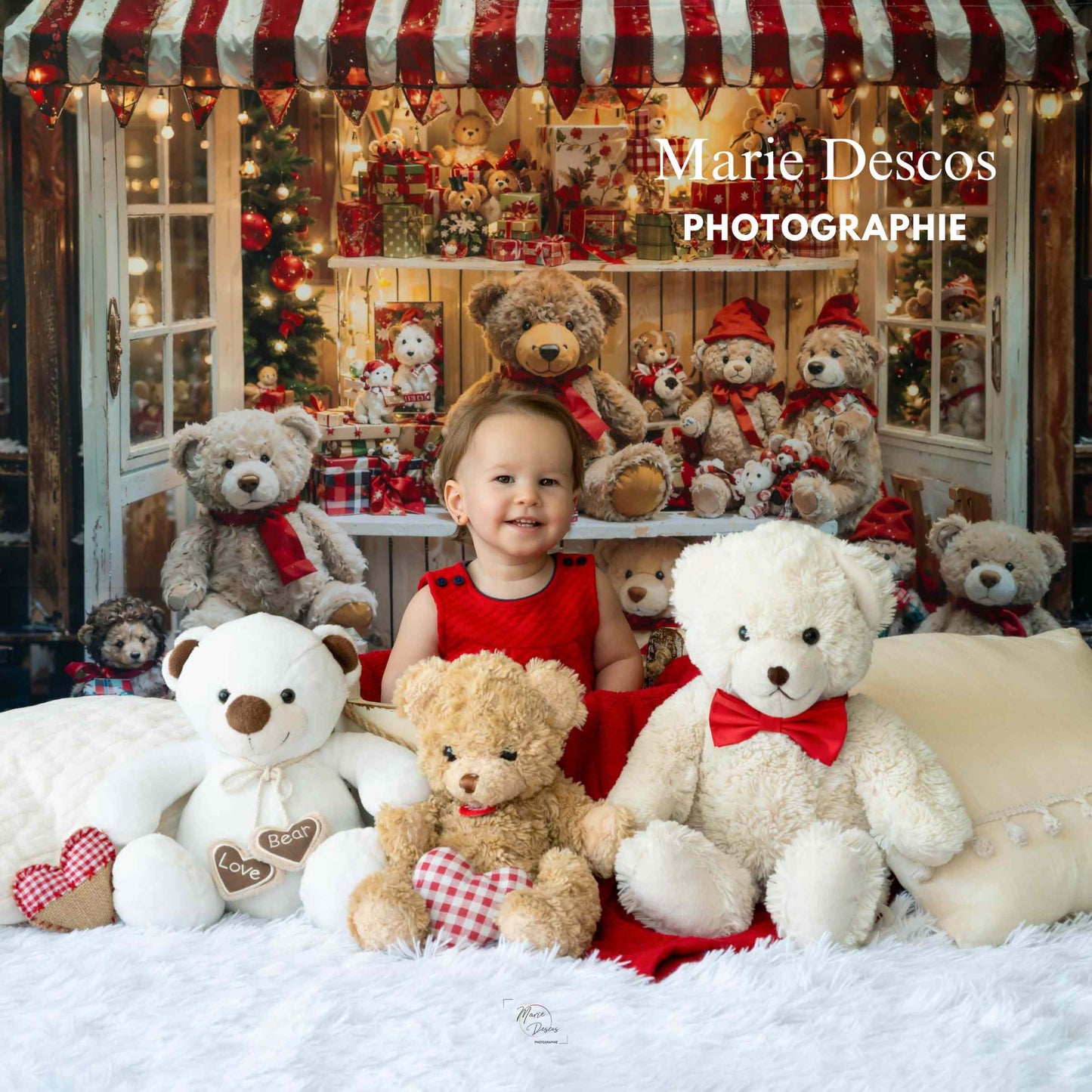 Kate クリスマス テディベア 店 背景 写真撮影 Designed by Emetselch