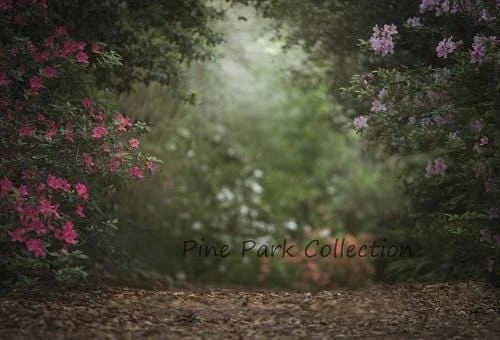Kate ピンクの花の庭の春夏背景布 写真撮影用