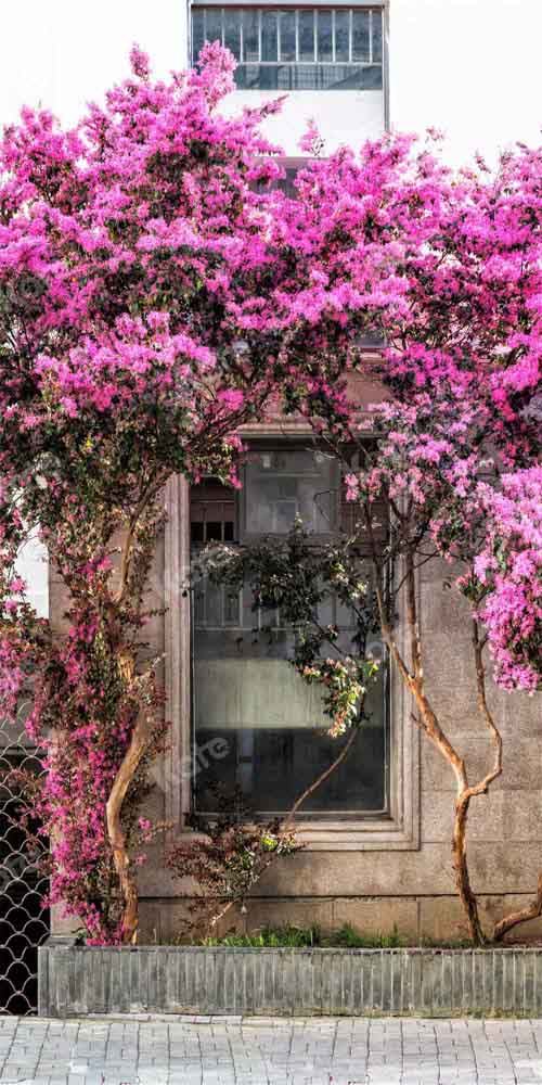 Kat春の花の木の背景屋外Chain Photography