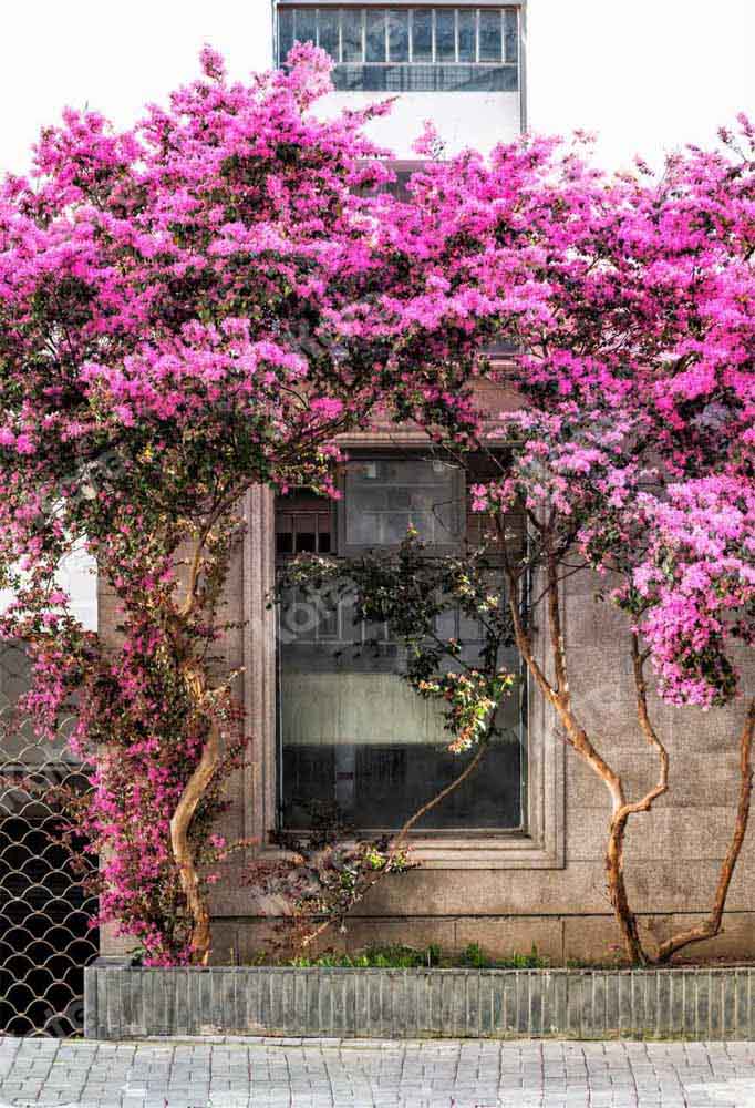 Kat春の花の木の背景屋外Chain Photography