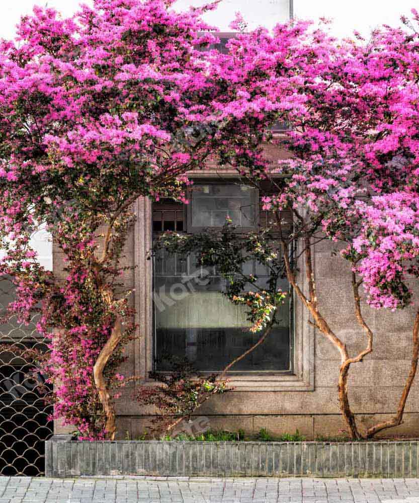 Kat春の花の木の背景屋外Chain Photography
