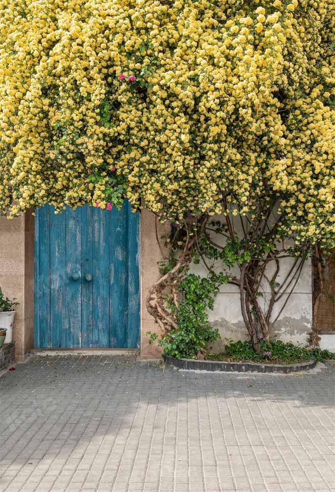 Kate写真撮影のための夏/春の花の木の背景の日光Chainデザイン
