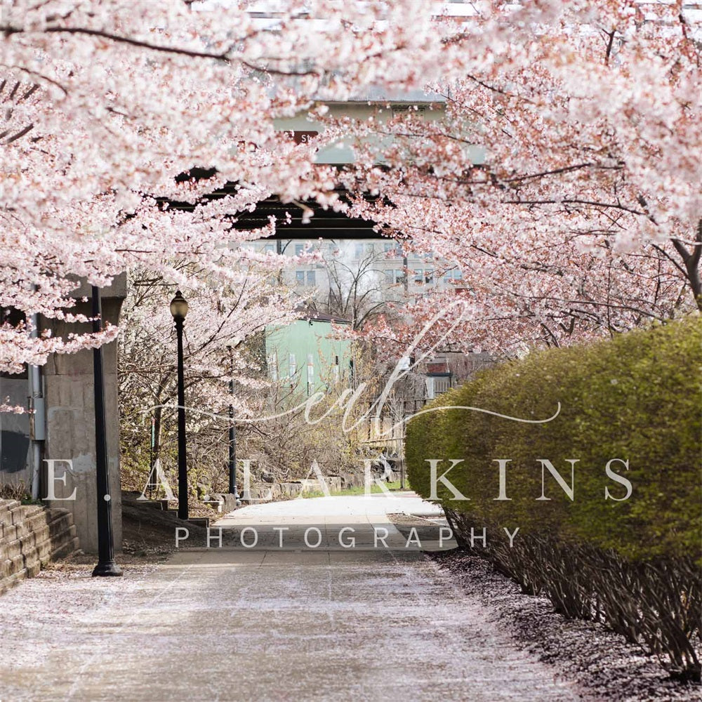 kate春の桜の道花が咲くピンクの背景Erin Larkinsデザイン