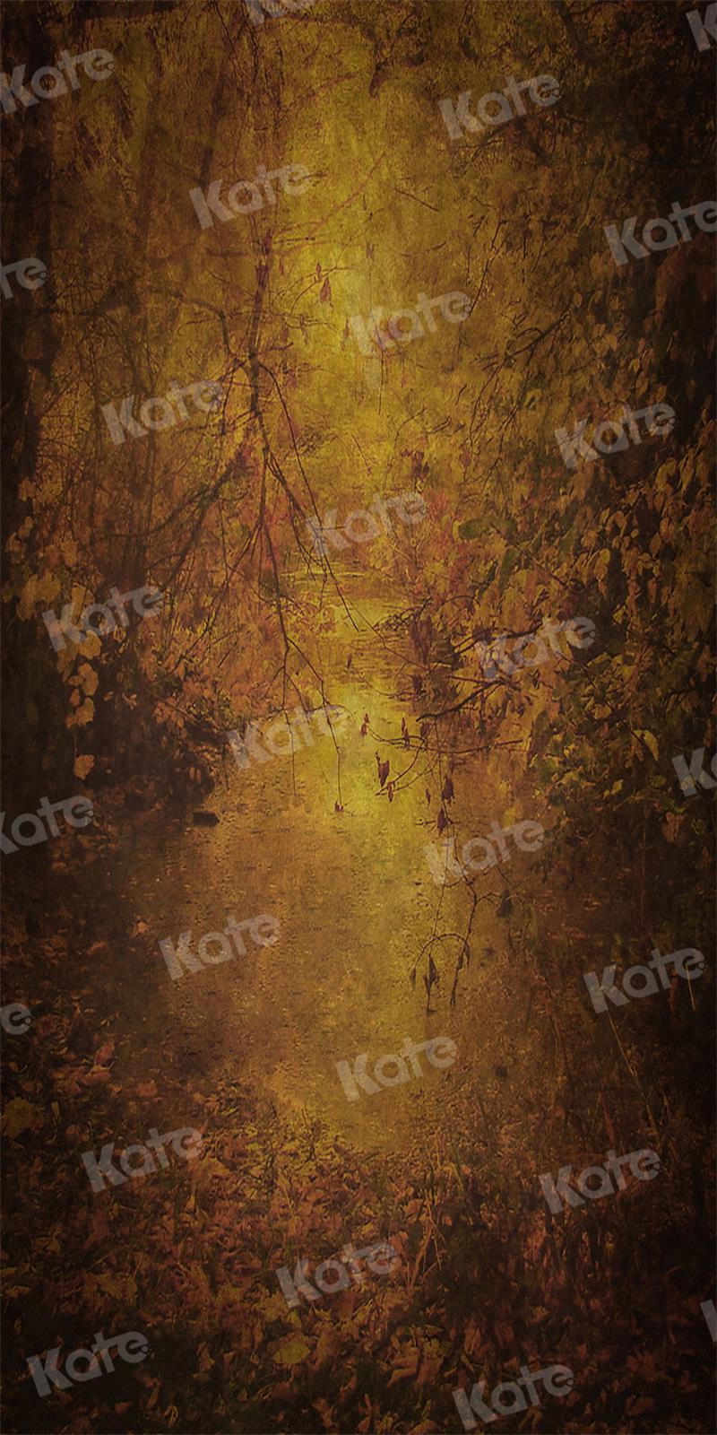 Kate写真撮影の晩秋の風合い概要の抽象的な背景