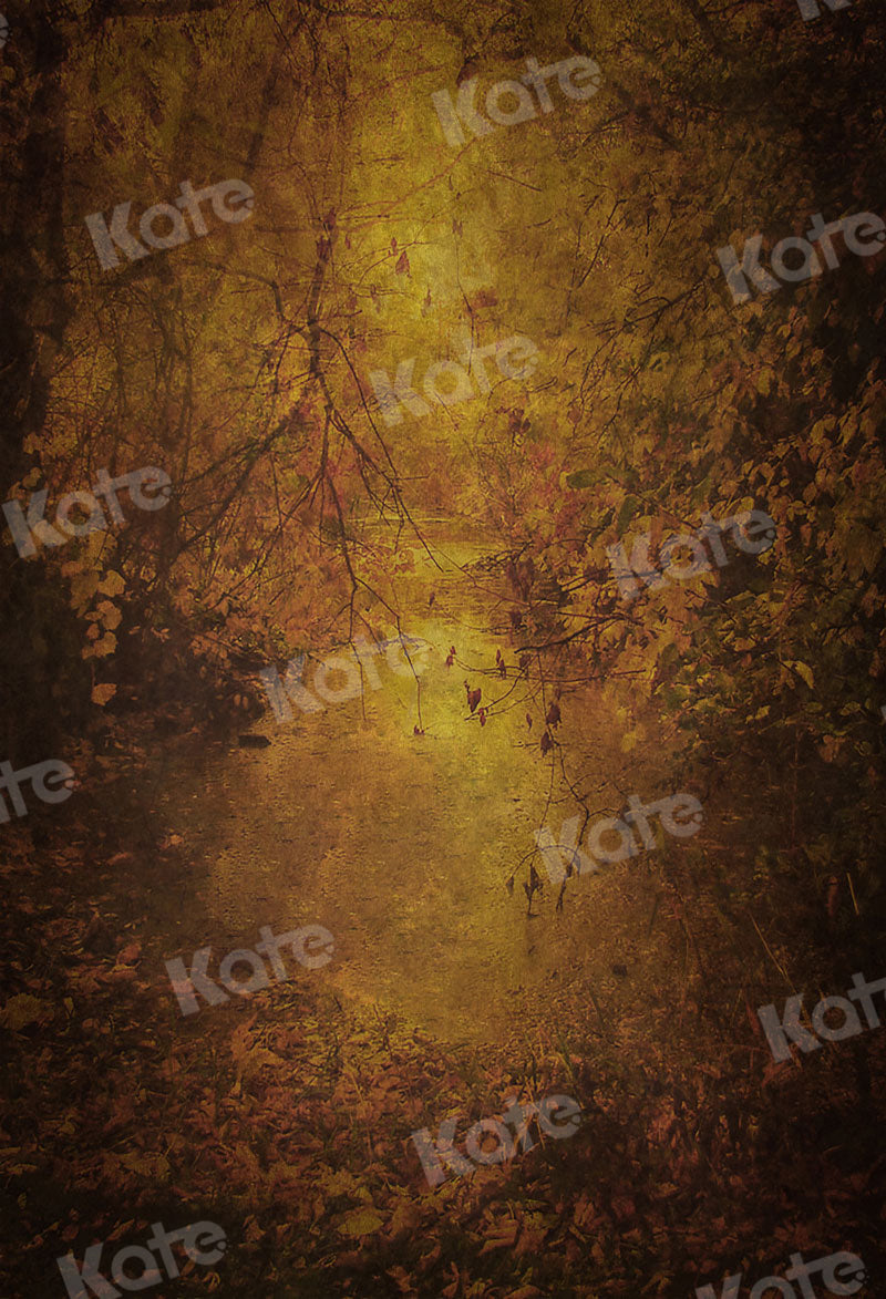 Kate写真撮影の晩秋の風合い概要の抽象的な背景