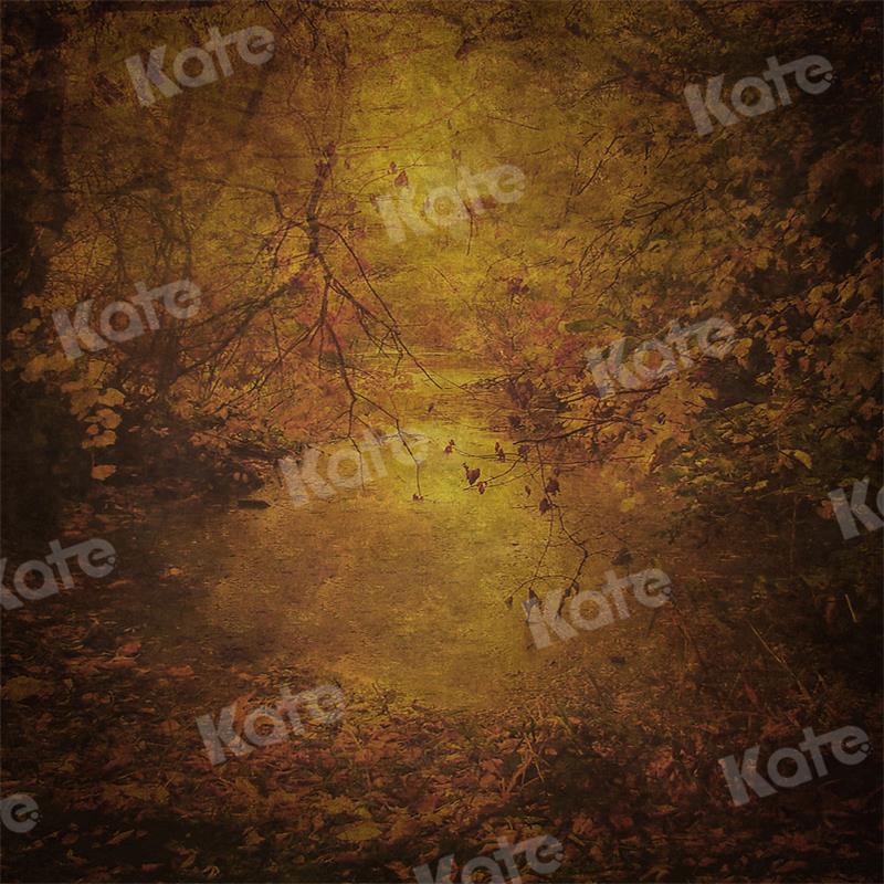 Kate写真撮影の晩秋の風合い概要の抽象的な背景