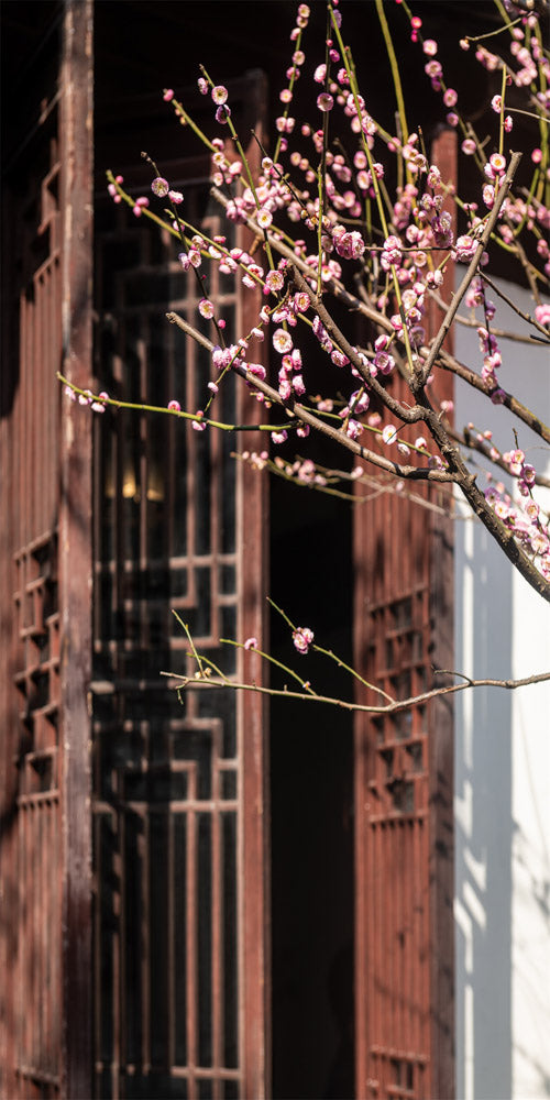 Kateヴィンテージの庭の建物の花の背景