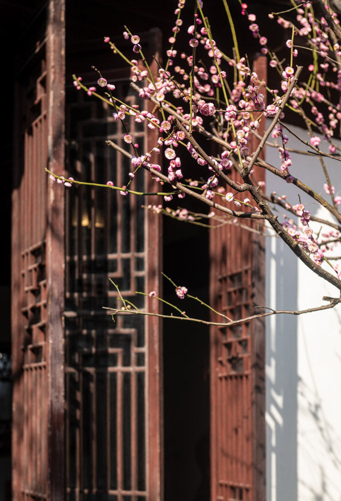 Kateヴィンテージの庭の建物の花の背景