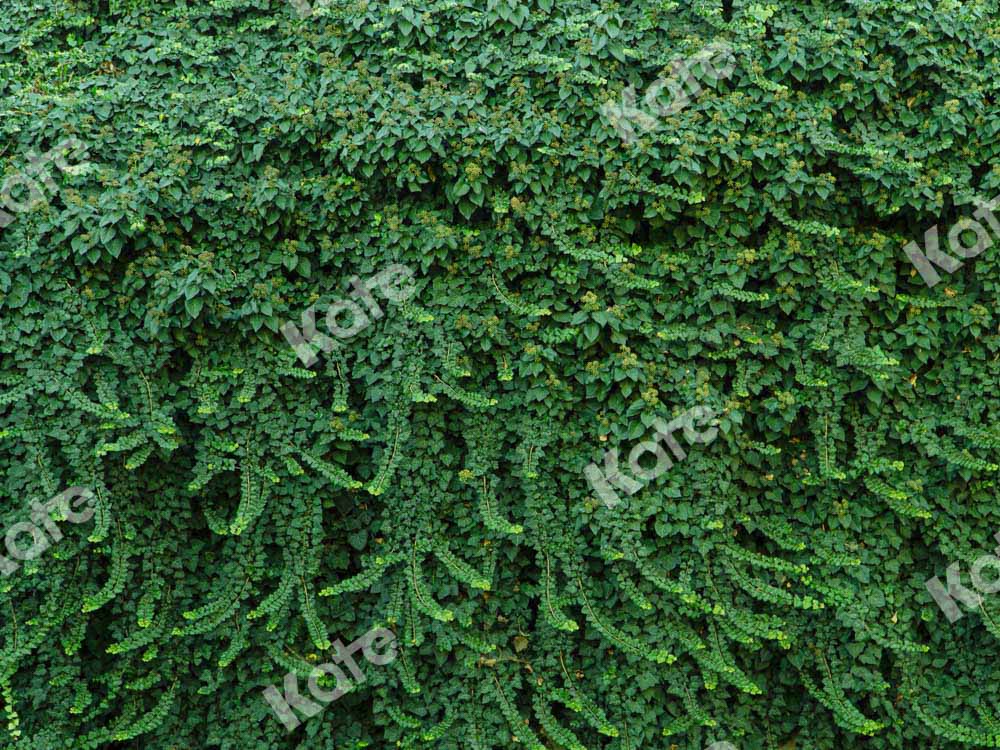 Kate夏の植物の壁の背景緑の葉Chainデザイン