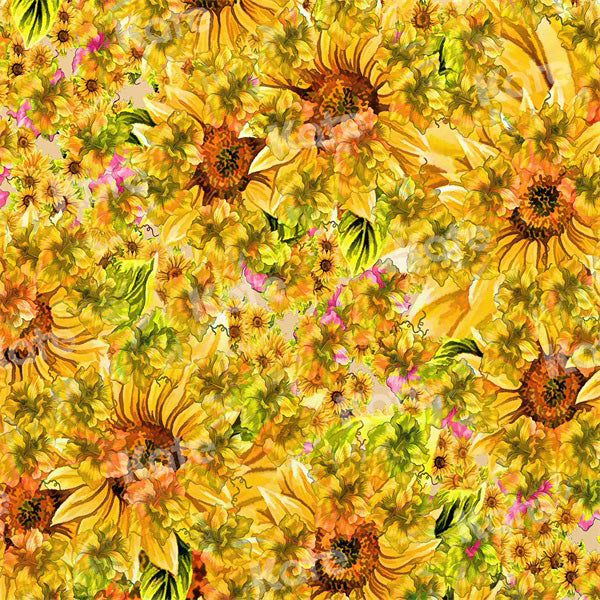 Kate写真撮影のための夏のヒマワリの茂みの背景