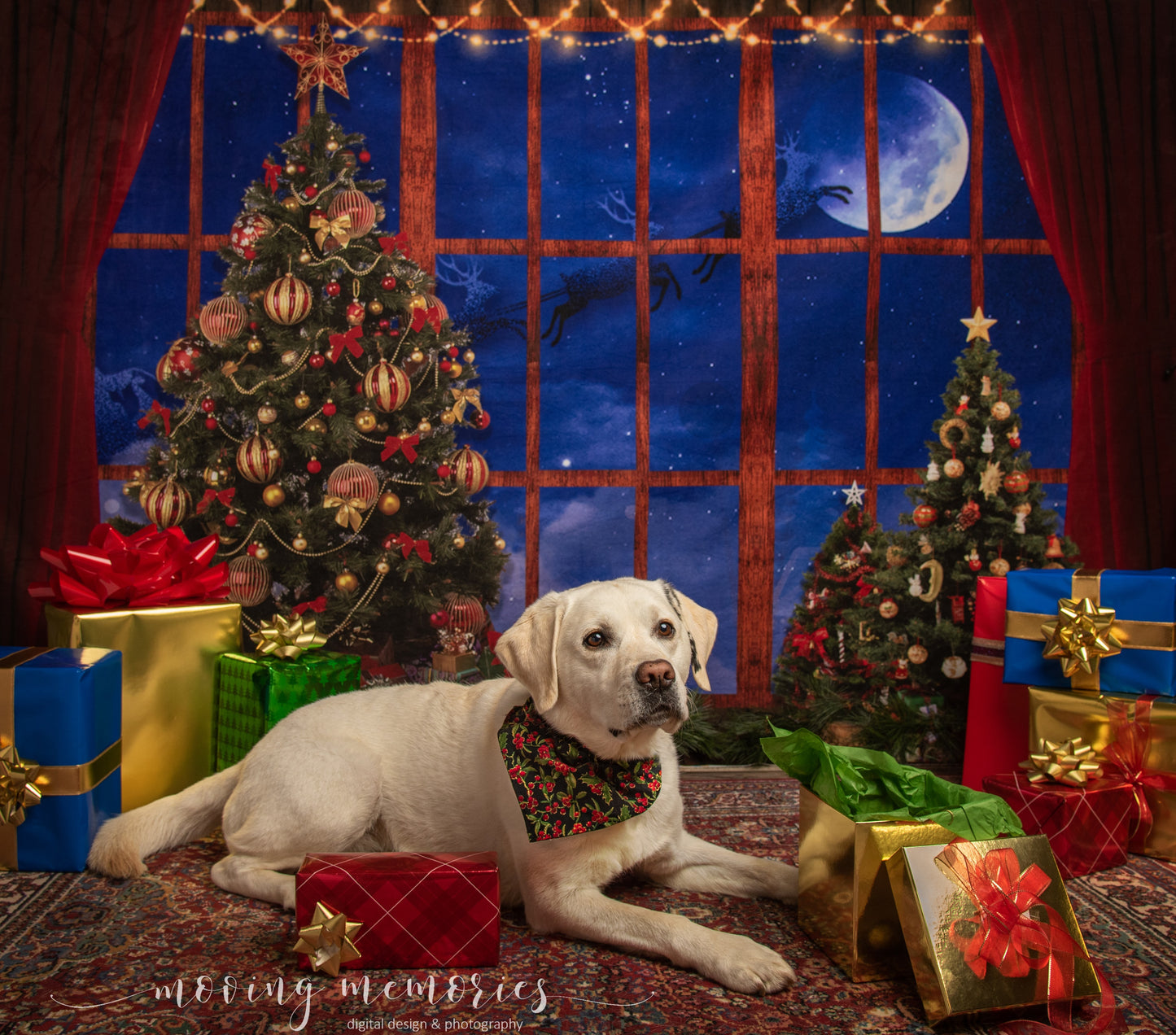 ケイトクリスマスツリーウィンドウの背景写真撮影のためのエルクムーン