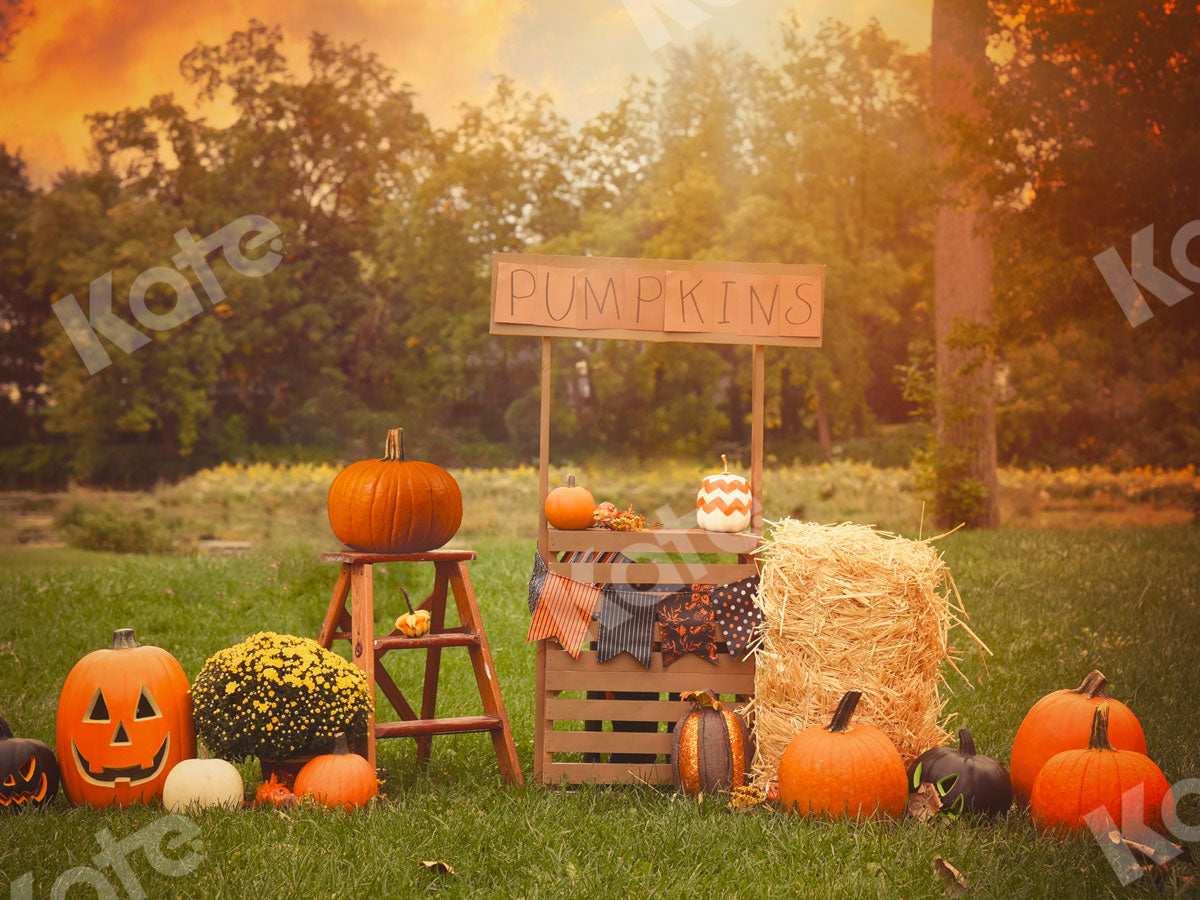 Kate パーティーカボチャ草原のハロウィーンの写真撮影の背景