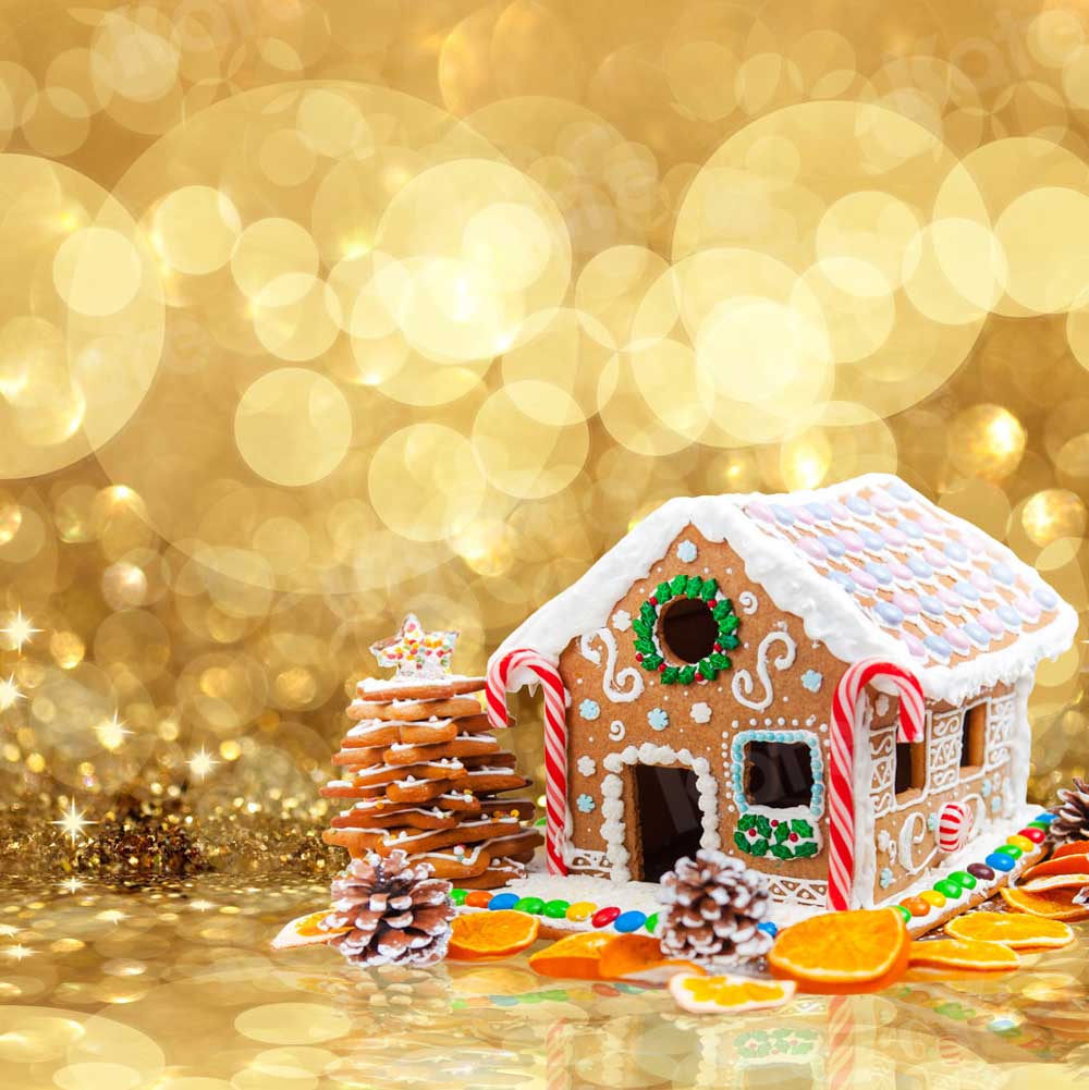 kate Gingerbread Houseクリスマスケーキ粉砕背景撮影