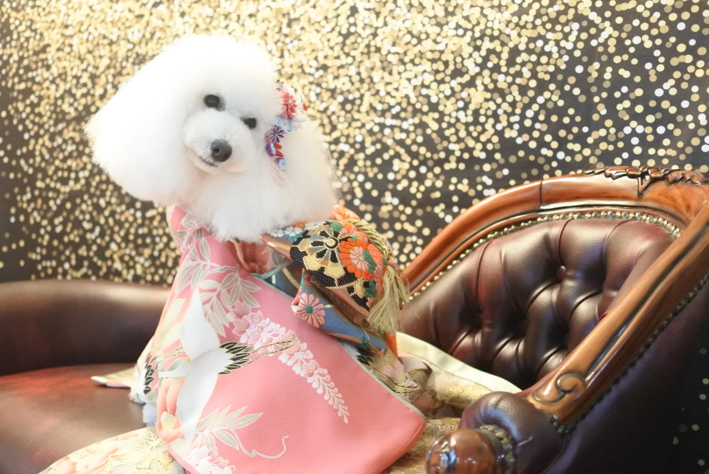 Kate 黄金の光沢のある黒いボケ背景設計された Kate Image