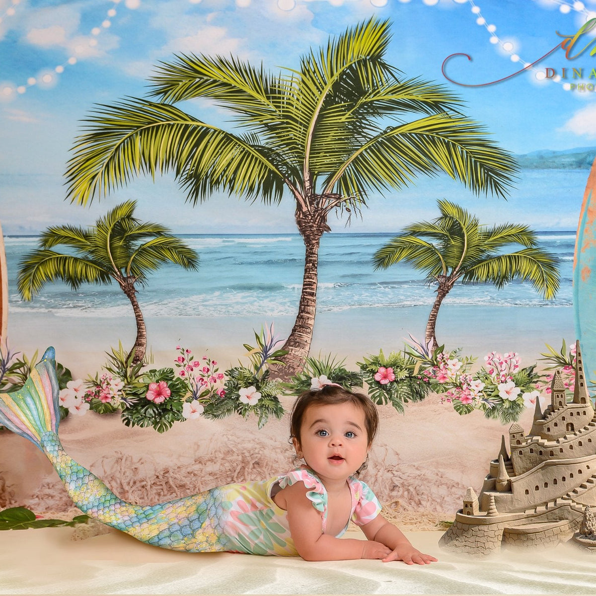 スイカ 海 夏 背景布×8+1 ペット撮影用フォトブース トリミングリボン