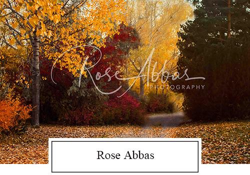 Rose Abbas
