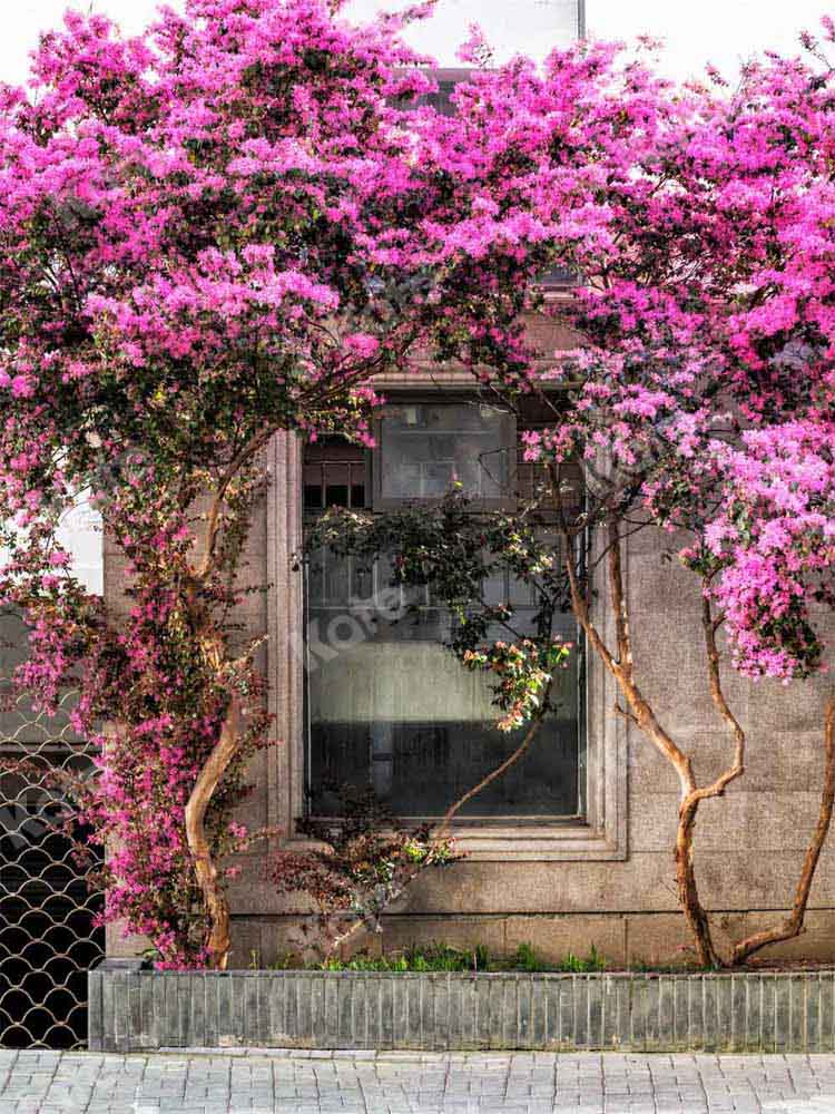 Kat春の花の木の背景屋外Chain Photography