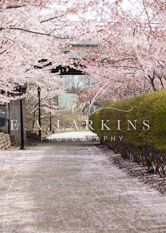 kate春の桜の道花が咲くピンクの背景Erin Larkinsデザイン