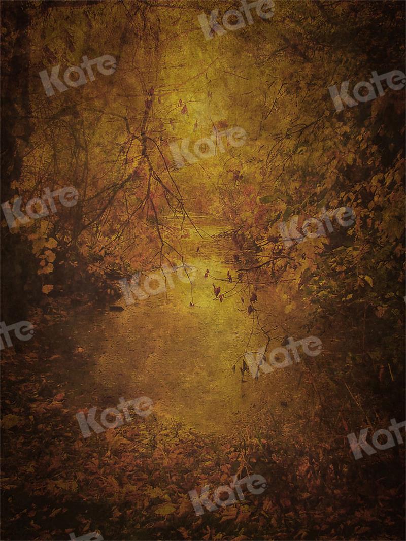 Kate写真撮影の晩秋の風合い概要の抽象的な背景