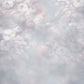 Kate写真撮影の優れた芸術花の質感の抽象的な背景