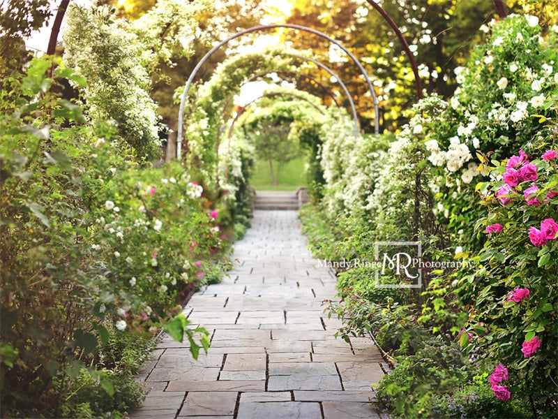 Kate 春の秘密の庭の小道の背景 設計された Mandy Ringe Photography