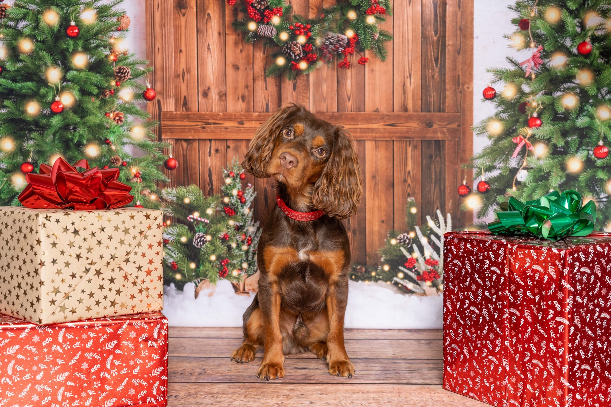 ケイトクリスマスツリーリース背景雪冬