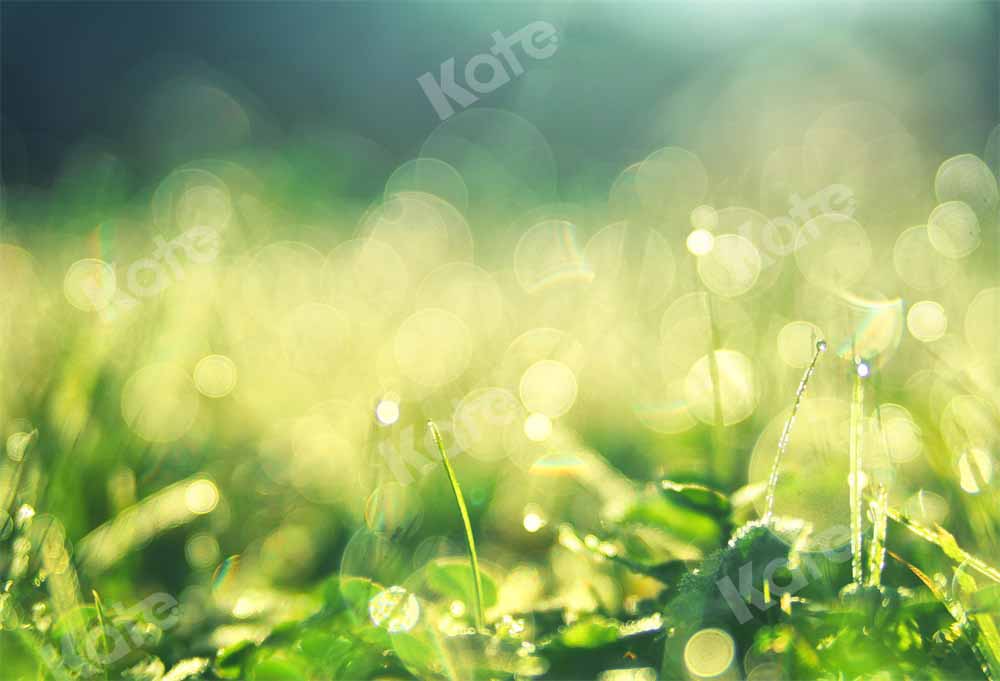 Kate 春の緑の草の軽い穀物のボケ味の背景Chain写真撮影