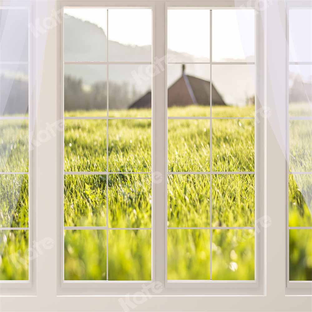 Kate 春の緑の草の窓の背景Emetselch写真撮影
