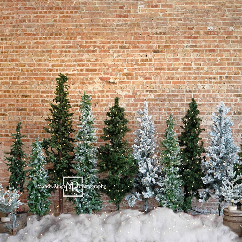 Kateクリスマスツリーの背景のレ背景Mandy Ringe 写真撮影