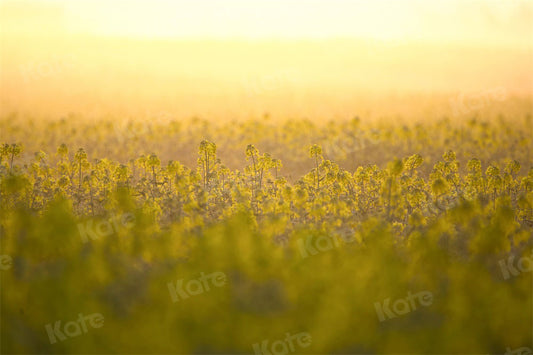 kate自然の春の背景写真撮影のための仮想シーンボケ