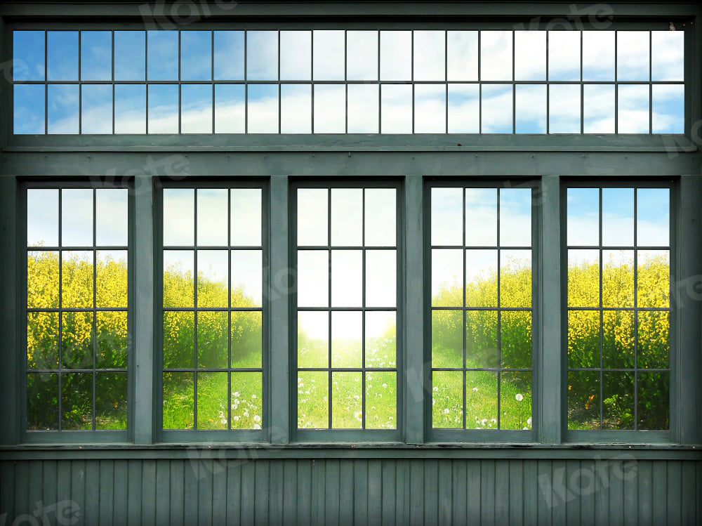 kate写真撮影のためのレトロな窓の風景の背景