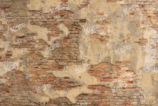 Kateレンガの壁のヴィンテージの背景ぼろぼろのテクスチャ背景Chain Photography