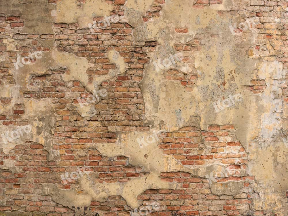 Kateレンガの壁のヴィンテージの背景ぼろぼろのテクスチャ背景Chain Photography