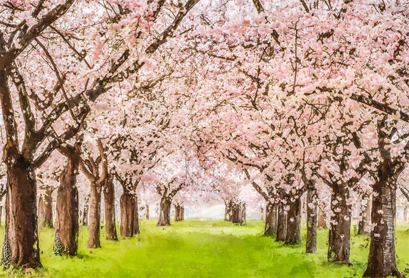 kate写真撮影のための春の花の木の背景草原