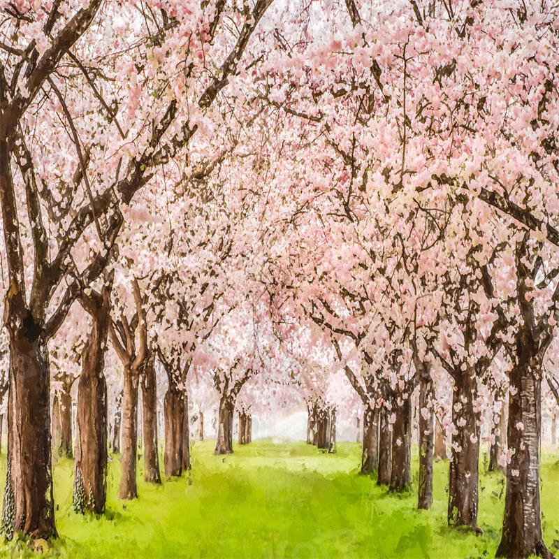 kate写真撮影のための春の花の木の背景草原