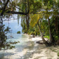 Kate夏のビーチの背景熱帯雨林Chain Photography