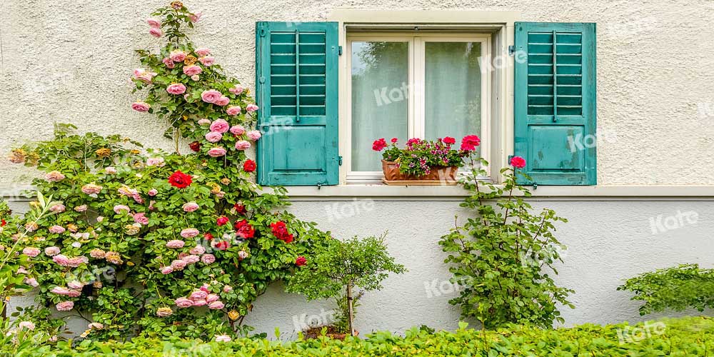 Kate花植物の窓の壁の背景Emetselch設計