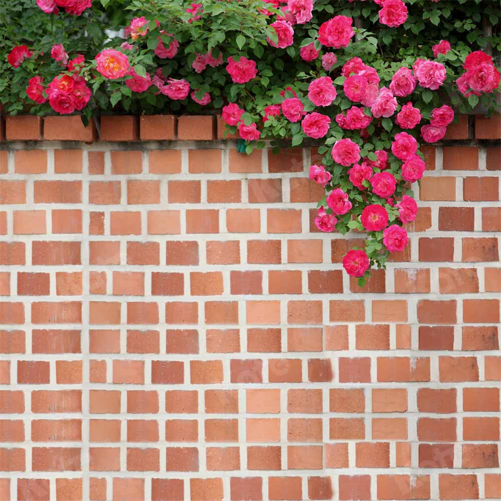 Kate春の花の背景ヴィンテージレンガの壁Chain Photography
