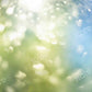 Kate春夏ボケ背景Kate Image