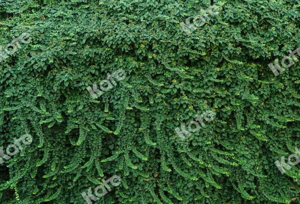 Kate夏の植物の壁の背景緑の葉Chainデザイン