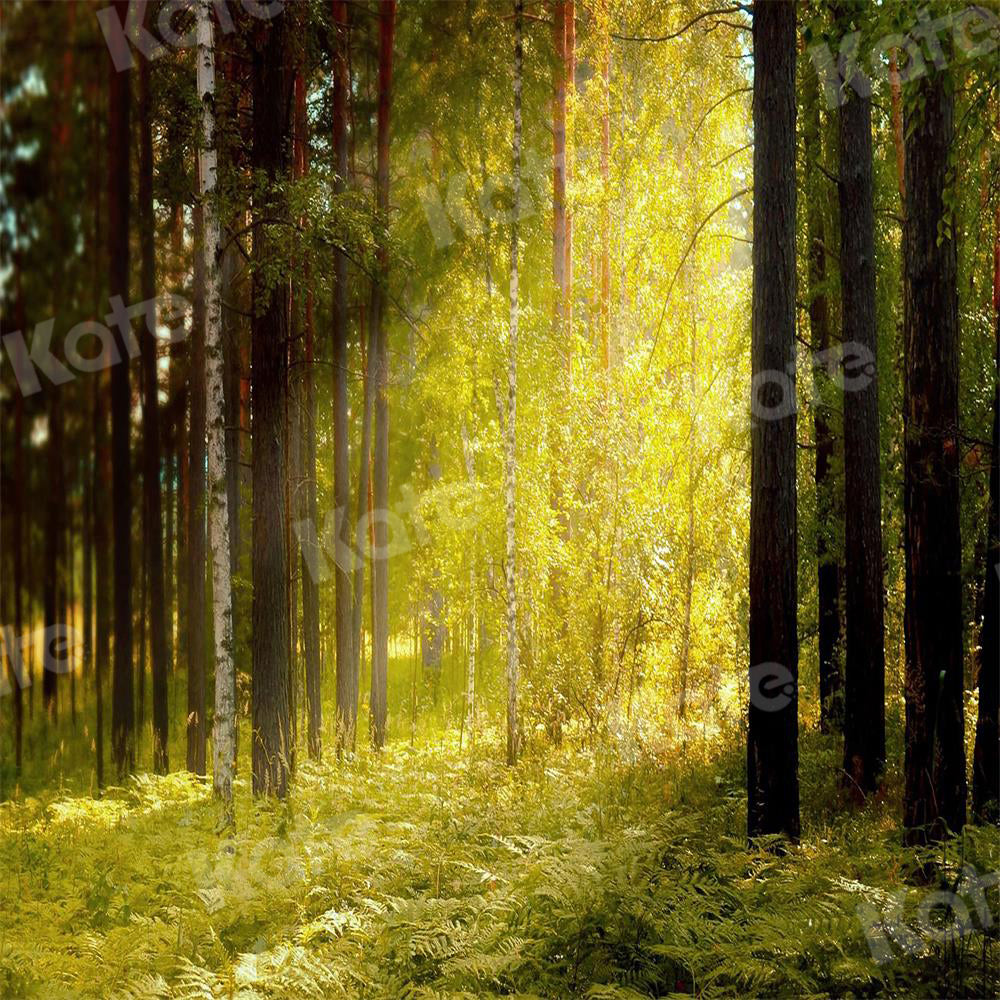 Kate写真撮影の森の中の朝日草や木の背景