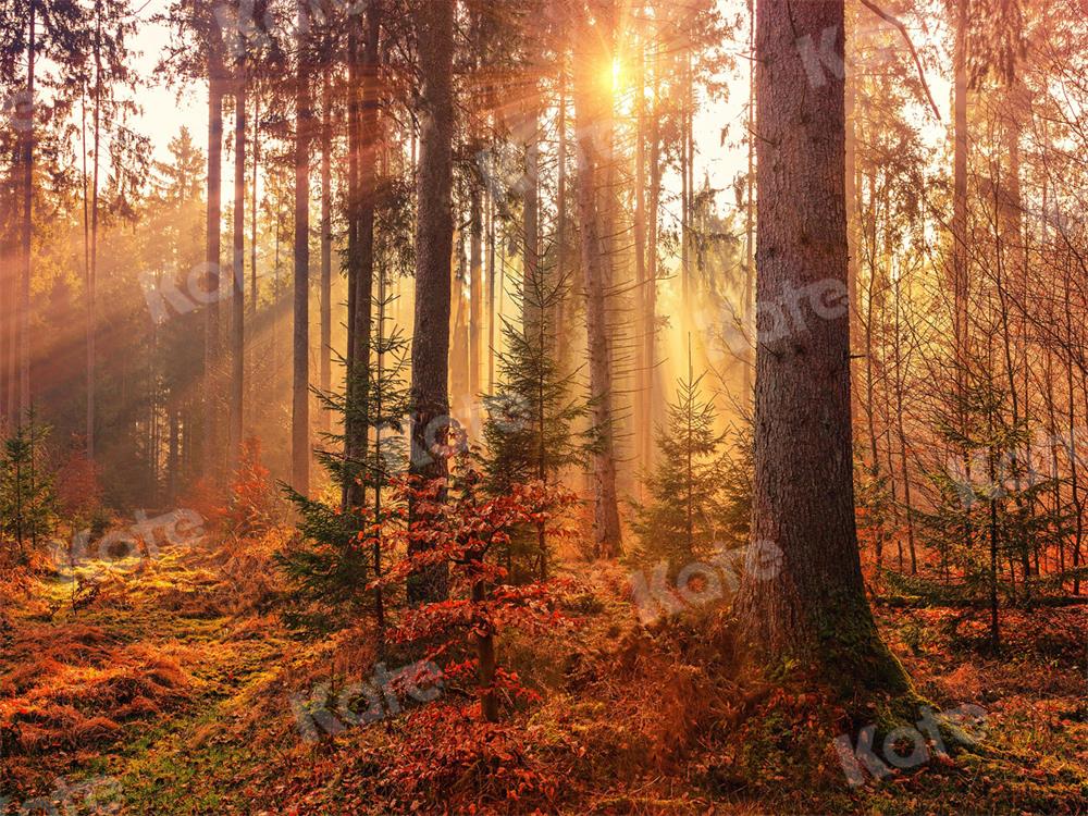 Kate写真撮影秋朝森林自然の風景の背景