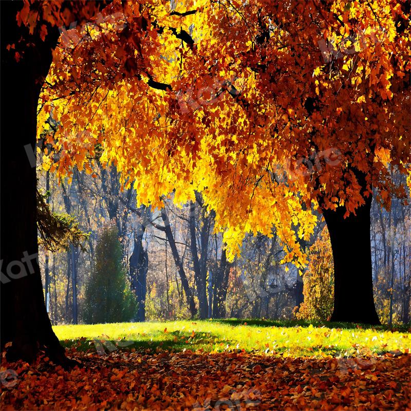Kate森林落ち葉自然の風景秋の背景