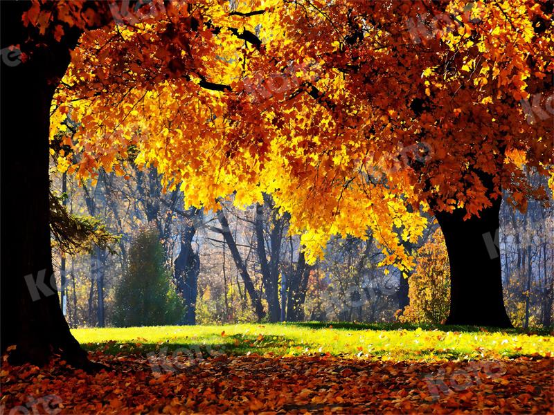 Kate森林落ち葉自然の風景秋の背景