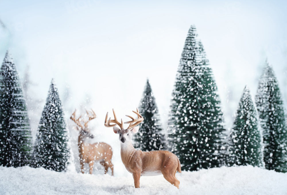 Kate冬雪の風景エルク森クリスマスの背景