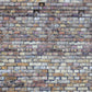 Kateカラフルなレンガの壁の背景Kate Imageデザイン