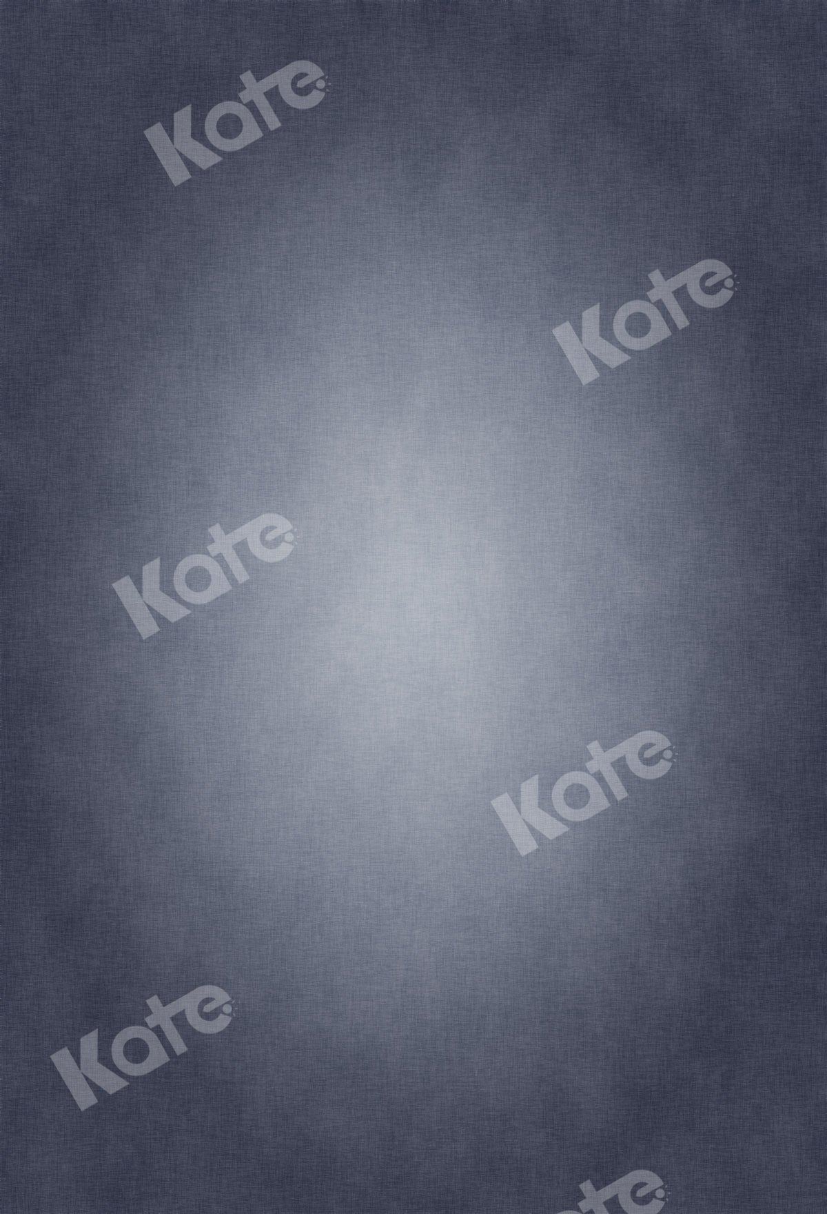 Kate 写真のための抽象的な灰色の肖像画の背景