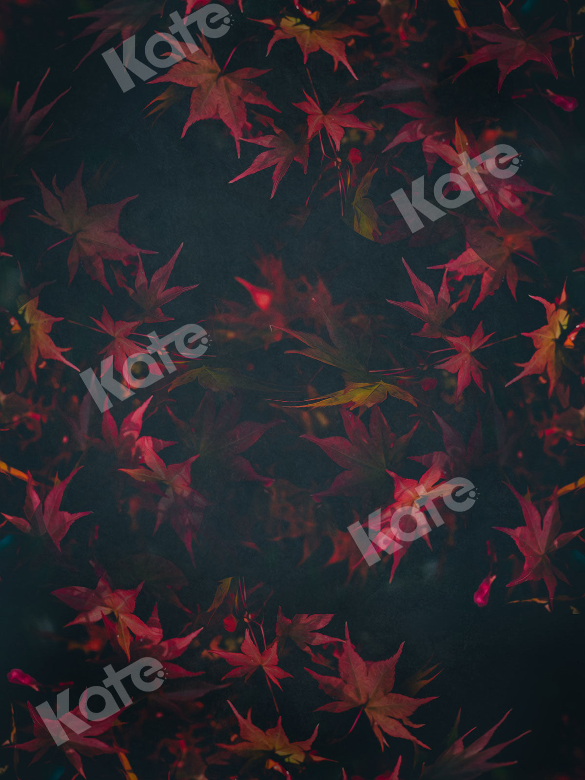 Kate レトロな赤い花暗い写真の背景