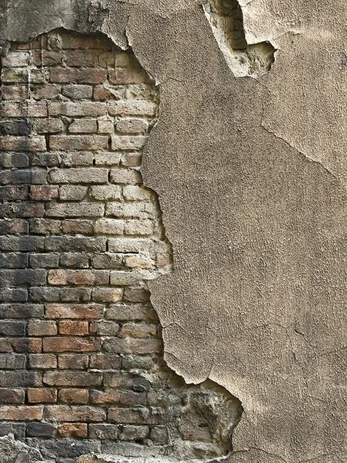 Kate シニア写真の灰色の破損したセメントレンガの背景